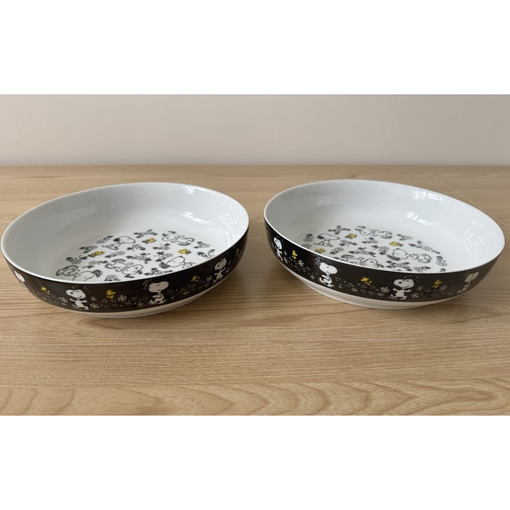 Peanuts Snoopy Woodstock Ceramic Bowl Set 2pc 9" Round Dishwasher Microwave
